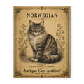 Norwegian Forest Cat Canvas | Vintage Antique Cats Archive Wall Art