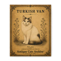 Turkish Van Canvas Wall Art | Vintage Cat Portrait | Antique Cats Archive™