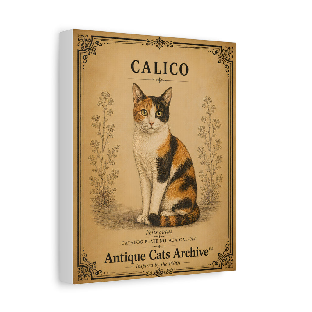 Calico Cat Canvas | Vintage Antique Cats Archive Wall Art