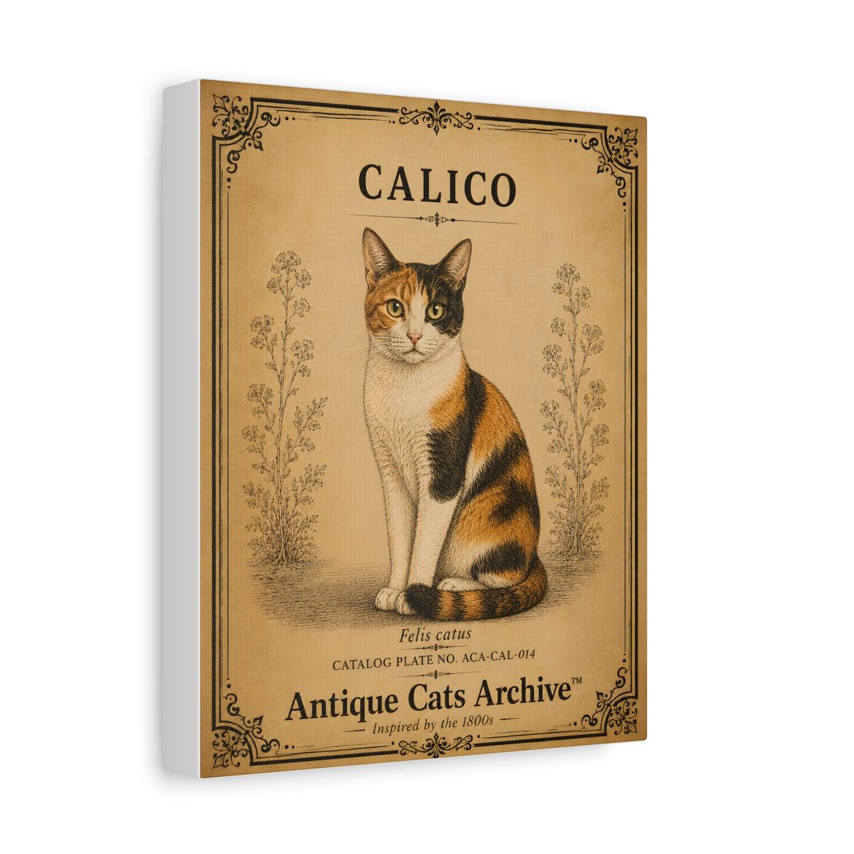 Calico Cat Canvas | Vintage Antique Cats Archive Wall Art