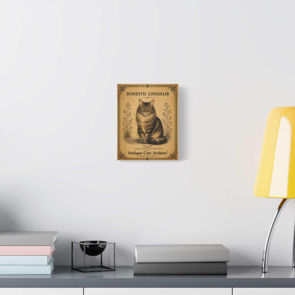 Domestic Longhair Cat Canvas | Vintage Antique Cats Archive Wall Art