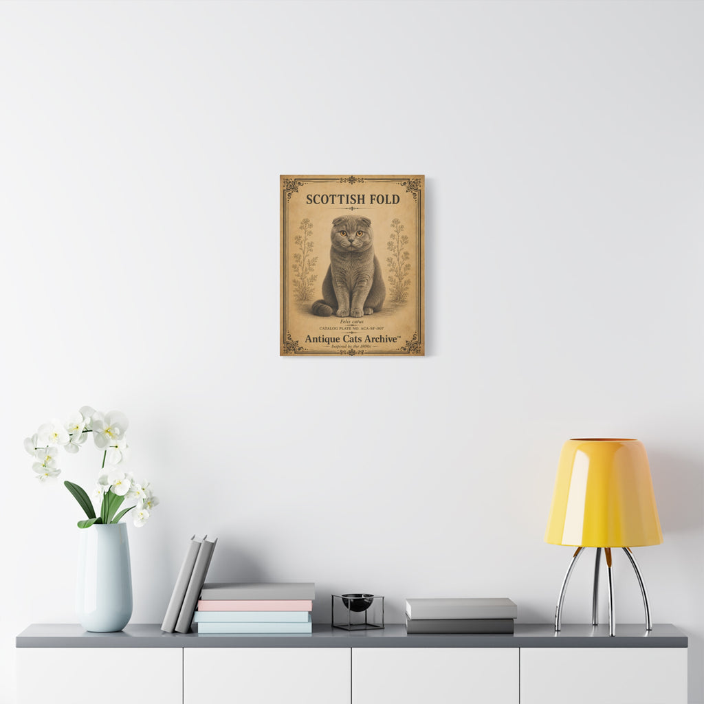 Scottish Fold Cat Canvas | Vintage Antique Cats Archive Wall Art