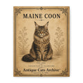 Maine Coon Cat Canvas | Vintage Antique Cats Archive Wall Art