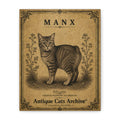 Manx Cat Canvas | Vintage Antique Cats Archive Wall Art