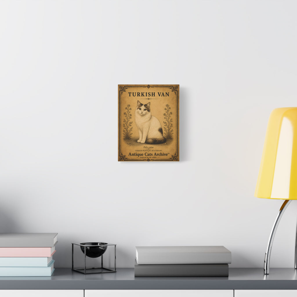 Turkish Van Canvas Wall Art | Vintage Cat Portrait | Antique Cats Archive™
