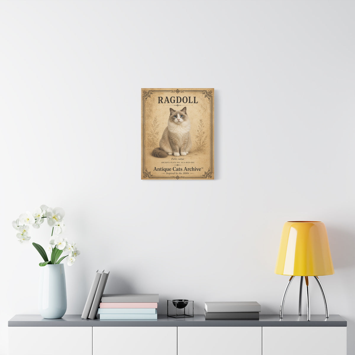 Ragdoll Cat Canvas | Vintage Antique Cats Archive Wall Art