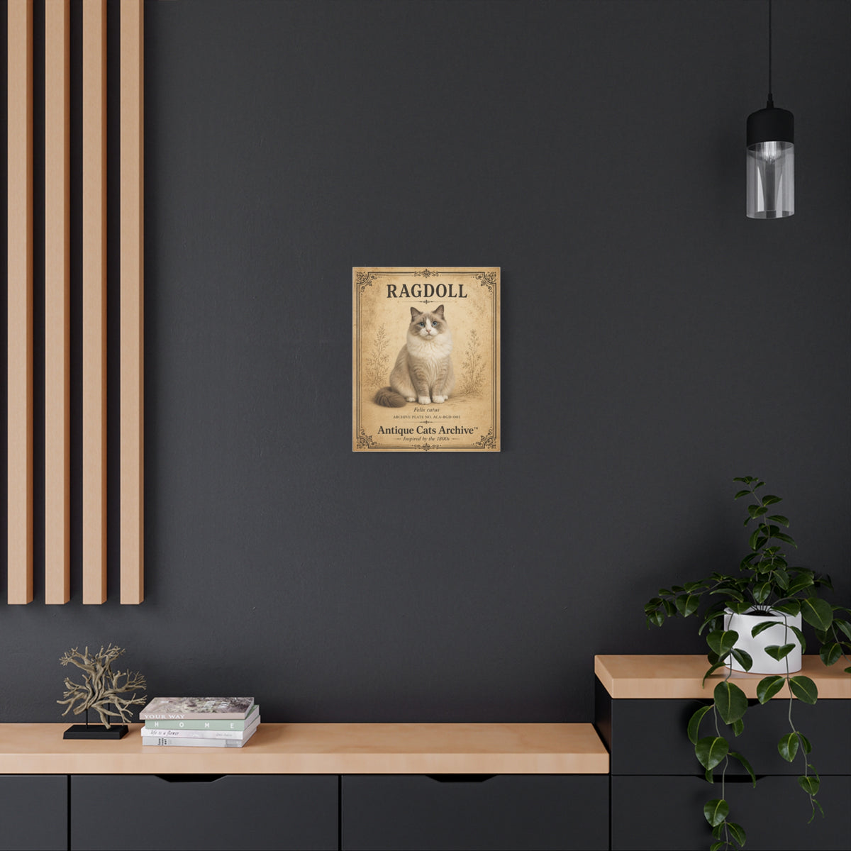 Ragdoll Cat Canvas | Vintage Antique Cats Archive Wall Art