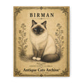 Birman Cat Canvas | Vintage Antique Cats Archive Wall Art