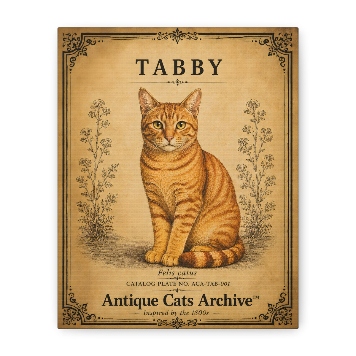 Tabby Cat Canvas | Vintage Antique Cats Archive Wall Art