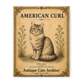 American Curl Cat Canvas | Vintage Antique Cats Archive Wall Art
